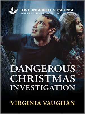 Dangerous Christmas Investigation - ebook